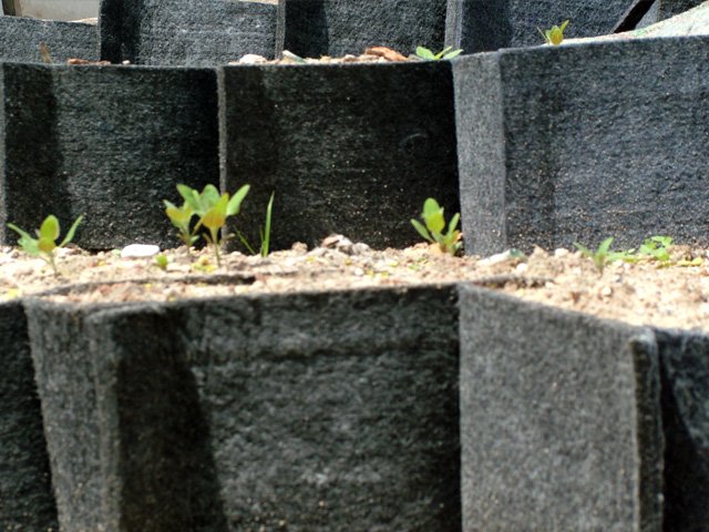 Применение георешетки